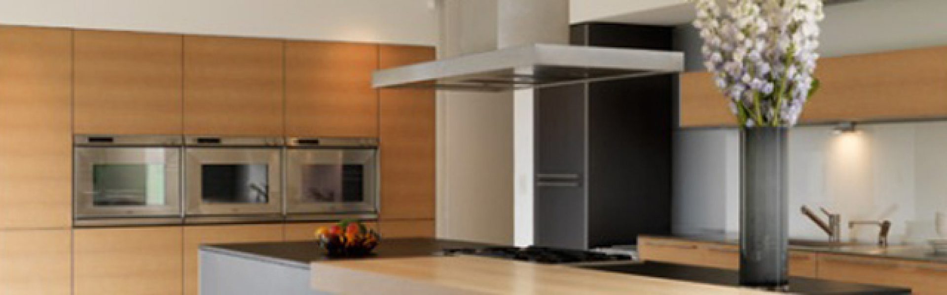 Chameleon Construction